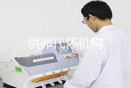 供卵代怀机构